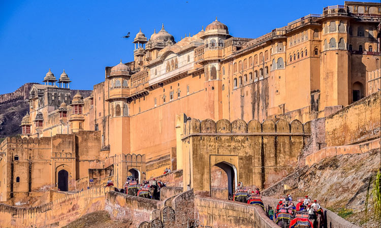 Amer Fort Tour Packages
